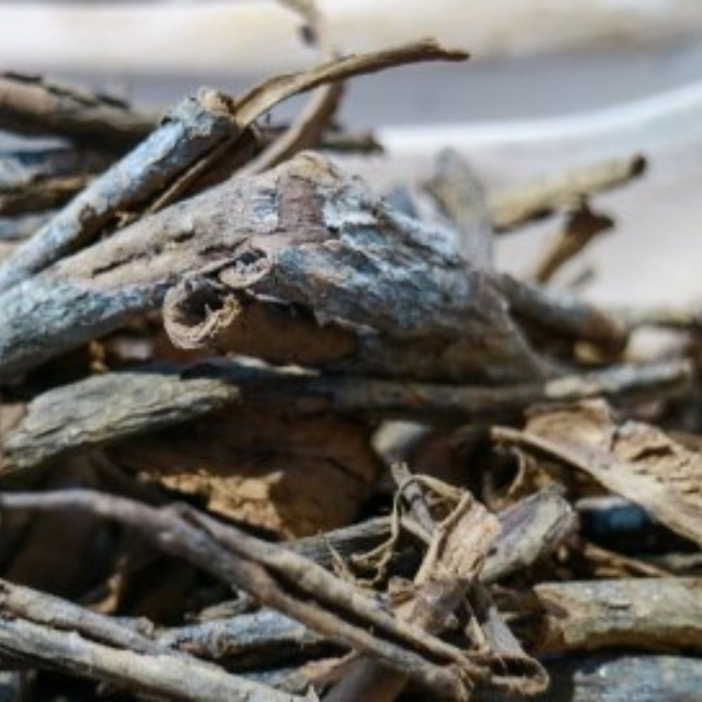 AmaGin le botaniche China